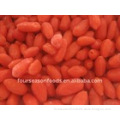 IQF goji berry good quality new season export quality